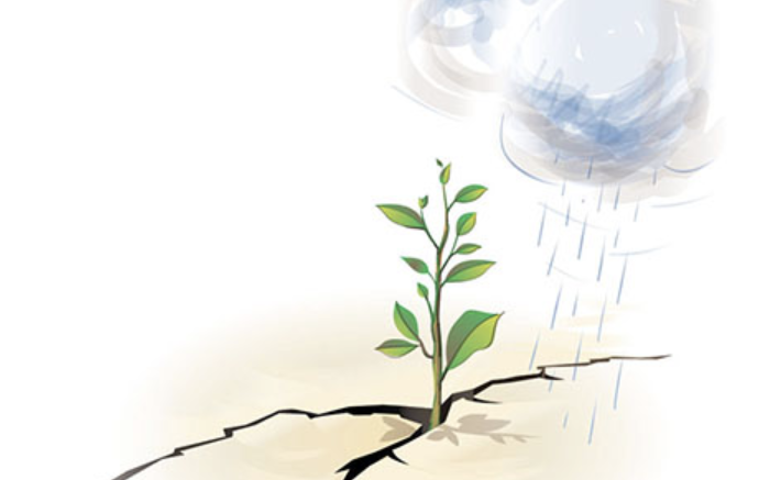 a small plant growing from a crack in the ground, with rain falling from a cloud above. This symbolizes growth and resilience.